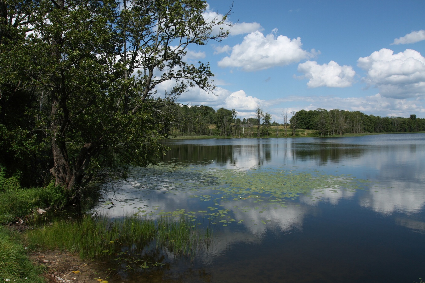 Островито, image of landscape/habitat.