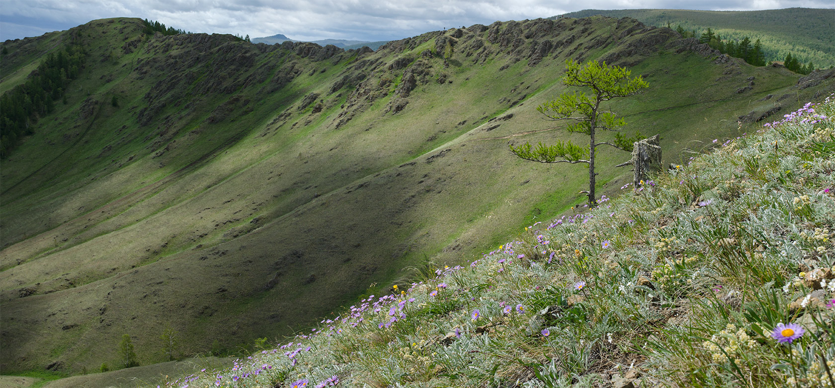 Яльчигулово и окрестности, image of landscape/habitat.