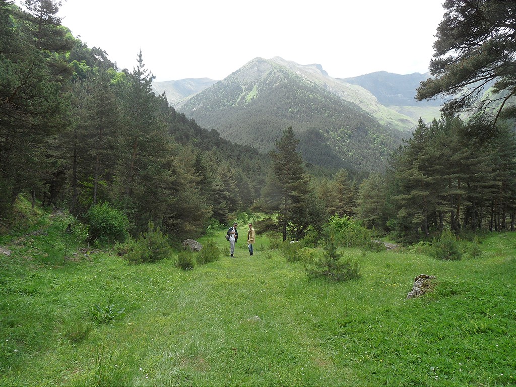 Окрестности села Хрюг, image of landscape/habitat.