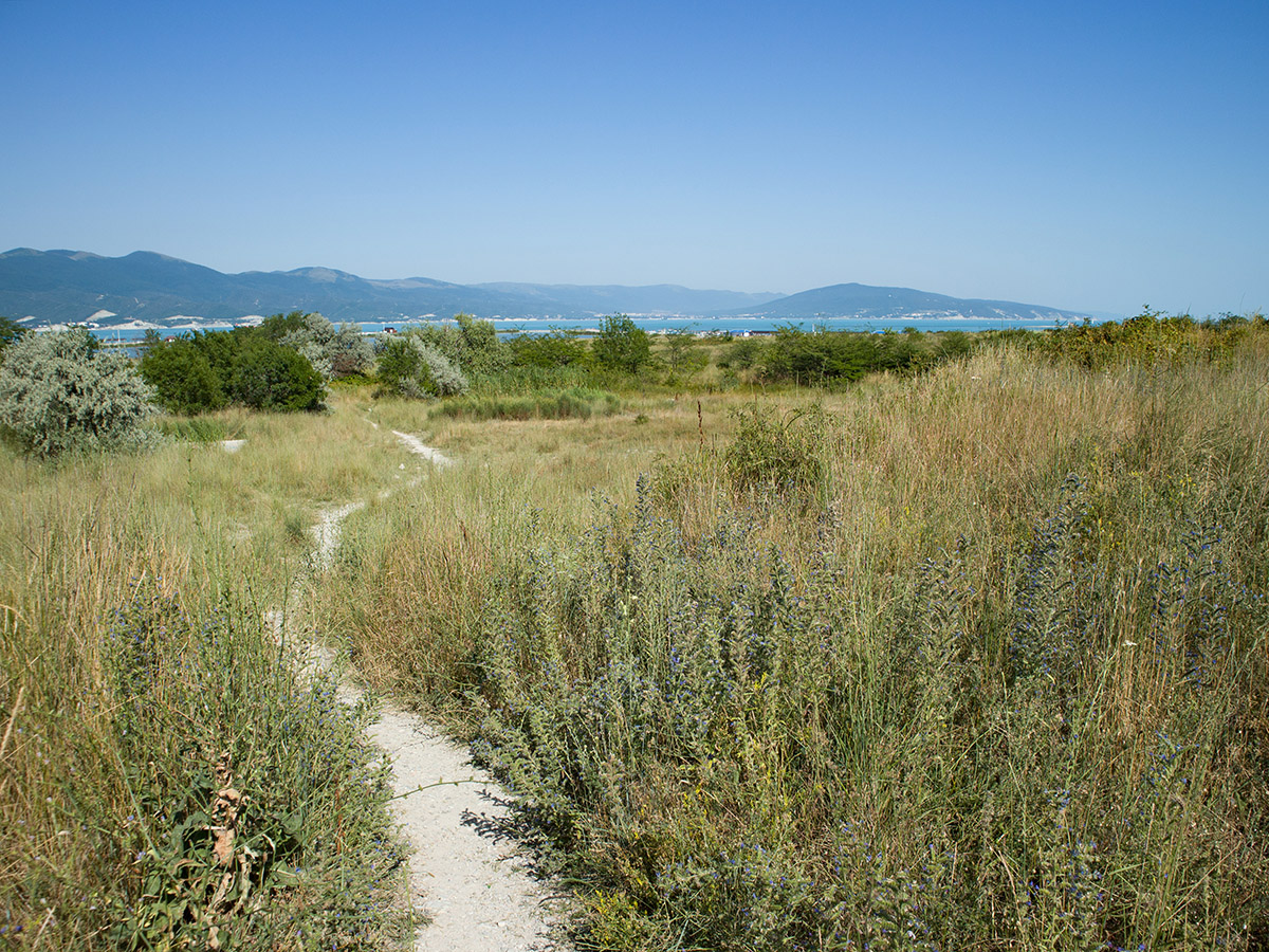 Дендропарк НПИ Куб ГТУ, image of landscape/habitat.