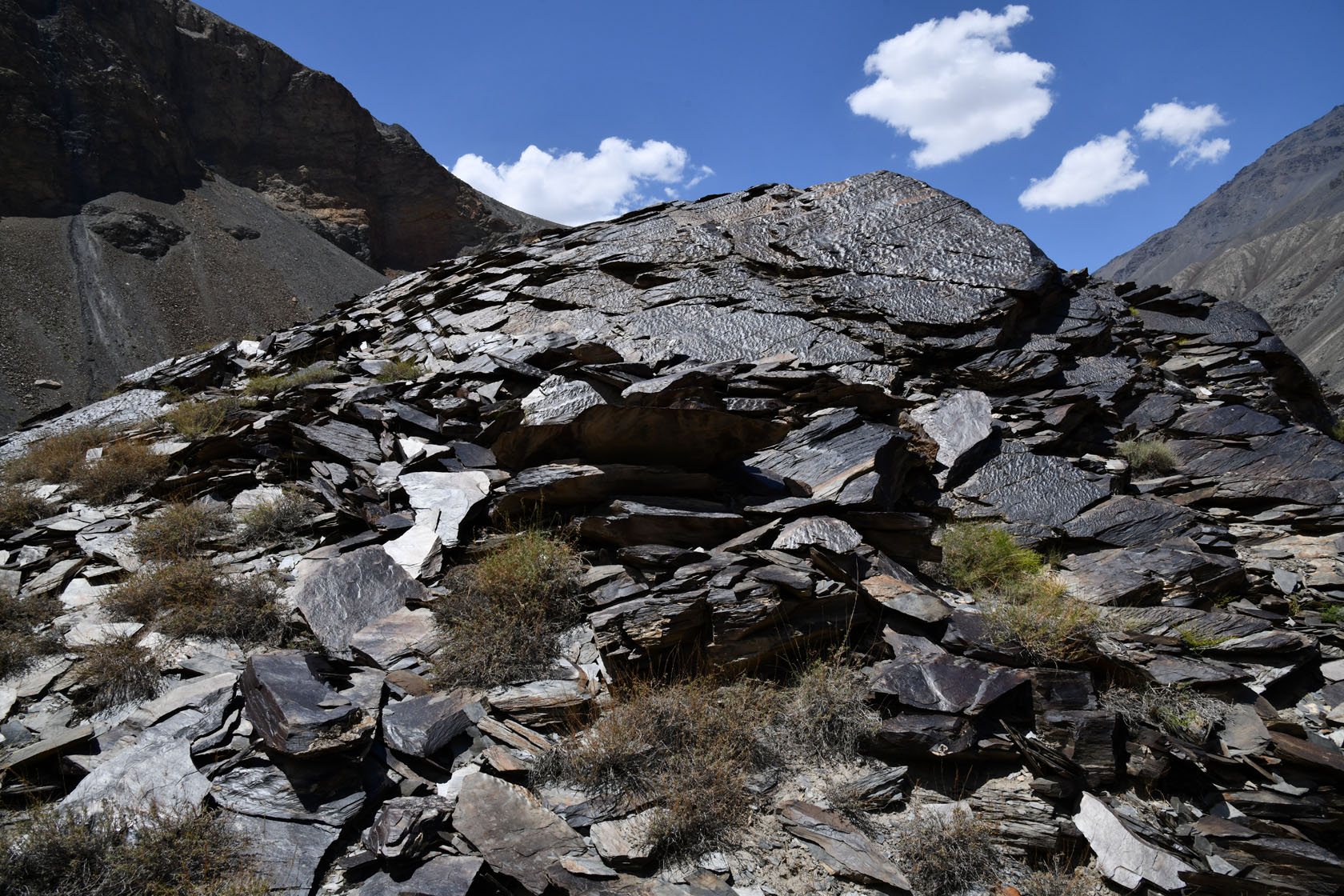 Мургаб (ниже Сареза), image of landscape/habitat.