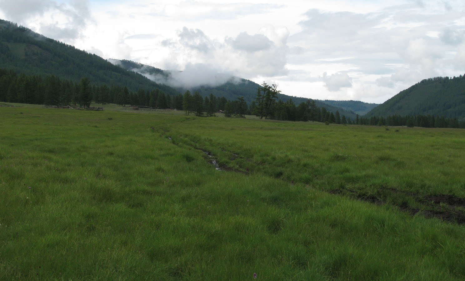 Далахай, image of landscape/habitat.