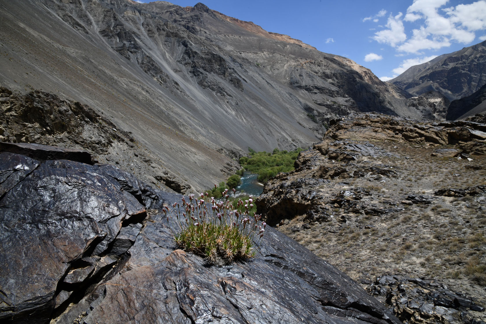 Мургаб (ниже Сареза), image of landscape/habitat.