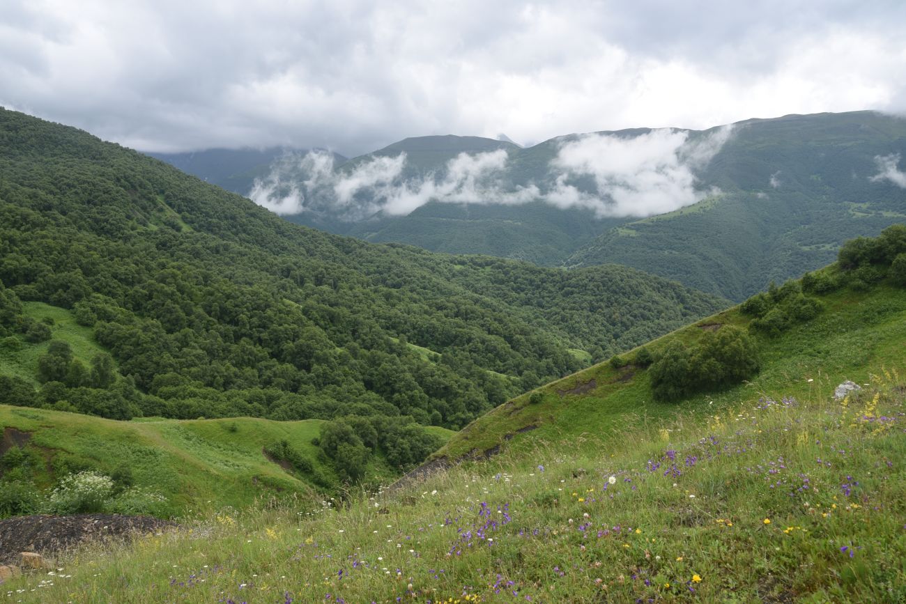 Хиндушты, image of landscape/habitat.