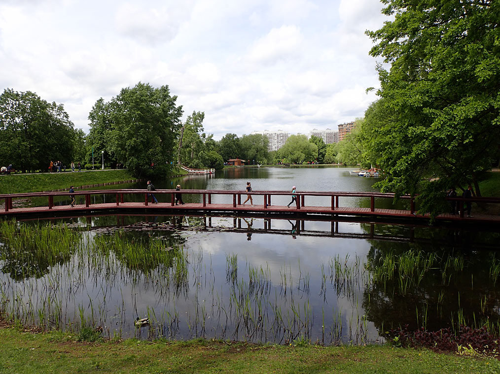 Воронцовский парк, image of landscape/habitat.