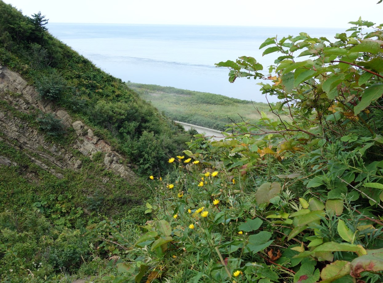 Водопад Салют, image of landscape/habitat.