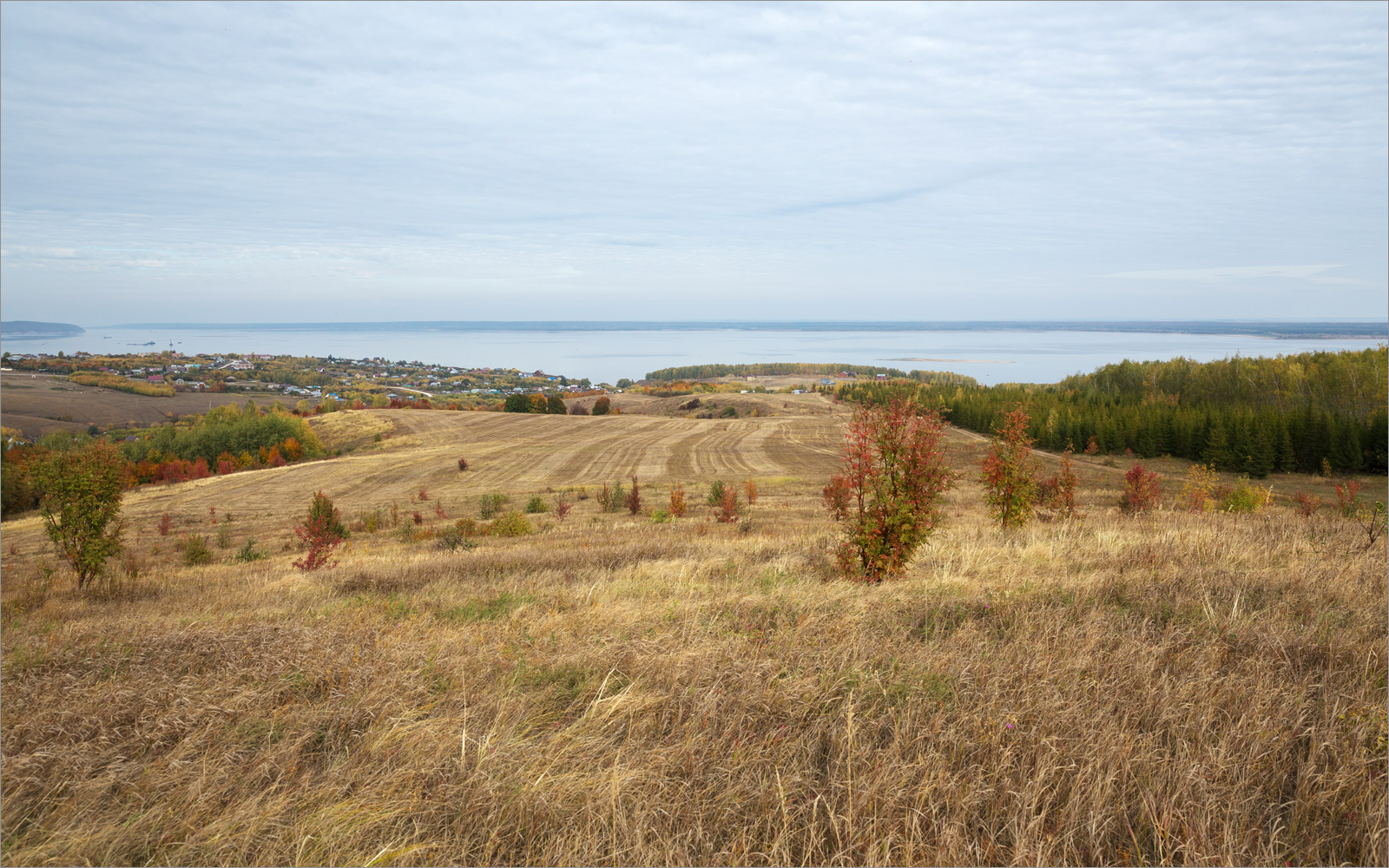 Красновидово, image of landscape/habitat.