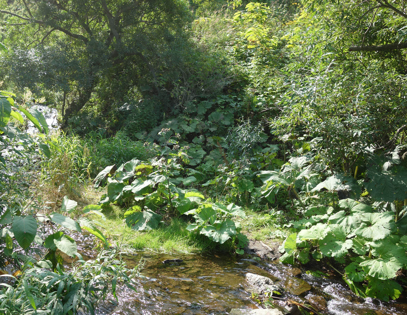 Водопад Салют, image of landscape/habitat.