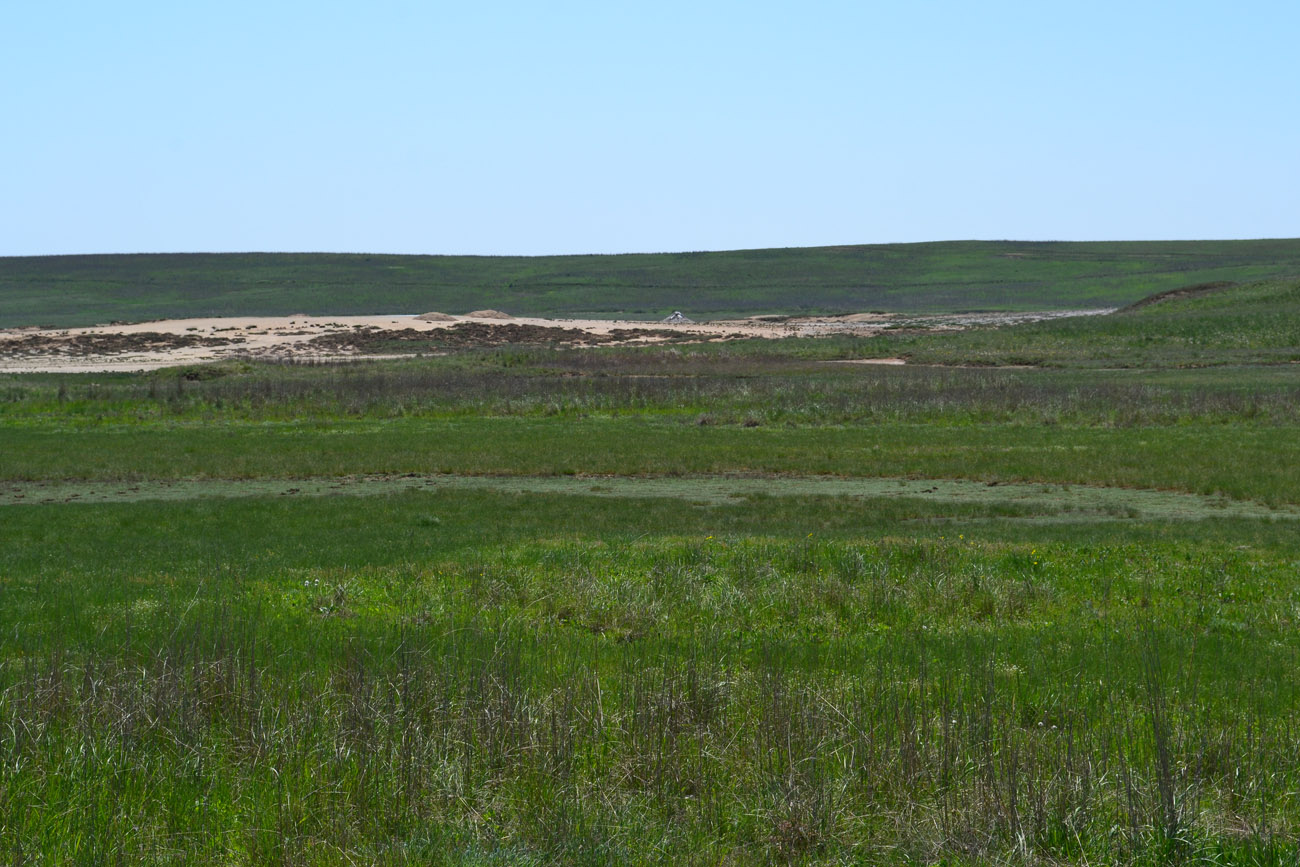 Окрестности села Бондаренково, image of landscape/habitat.