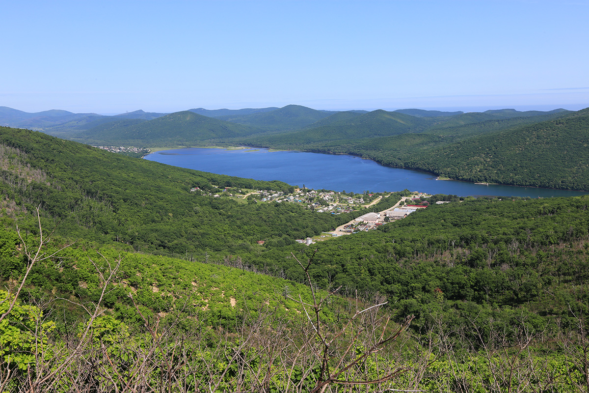 Ольга, image of landscape/habitat.