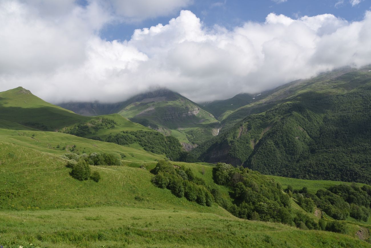 Верхнее течение Чадыри, image of landscape/habitat.