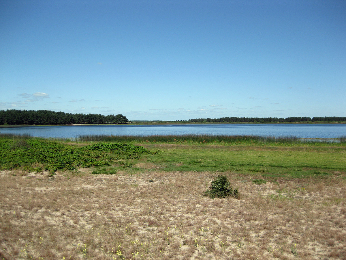 Озеро Святое, image of landscape/habitat.