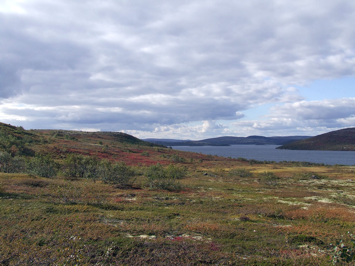 Туманный, image of landscape/habitat.