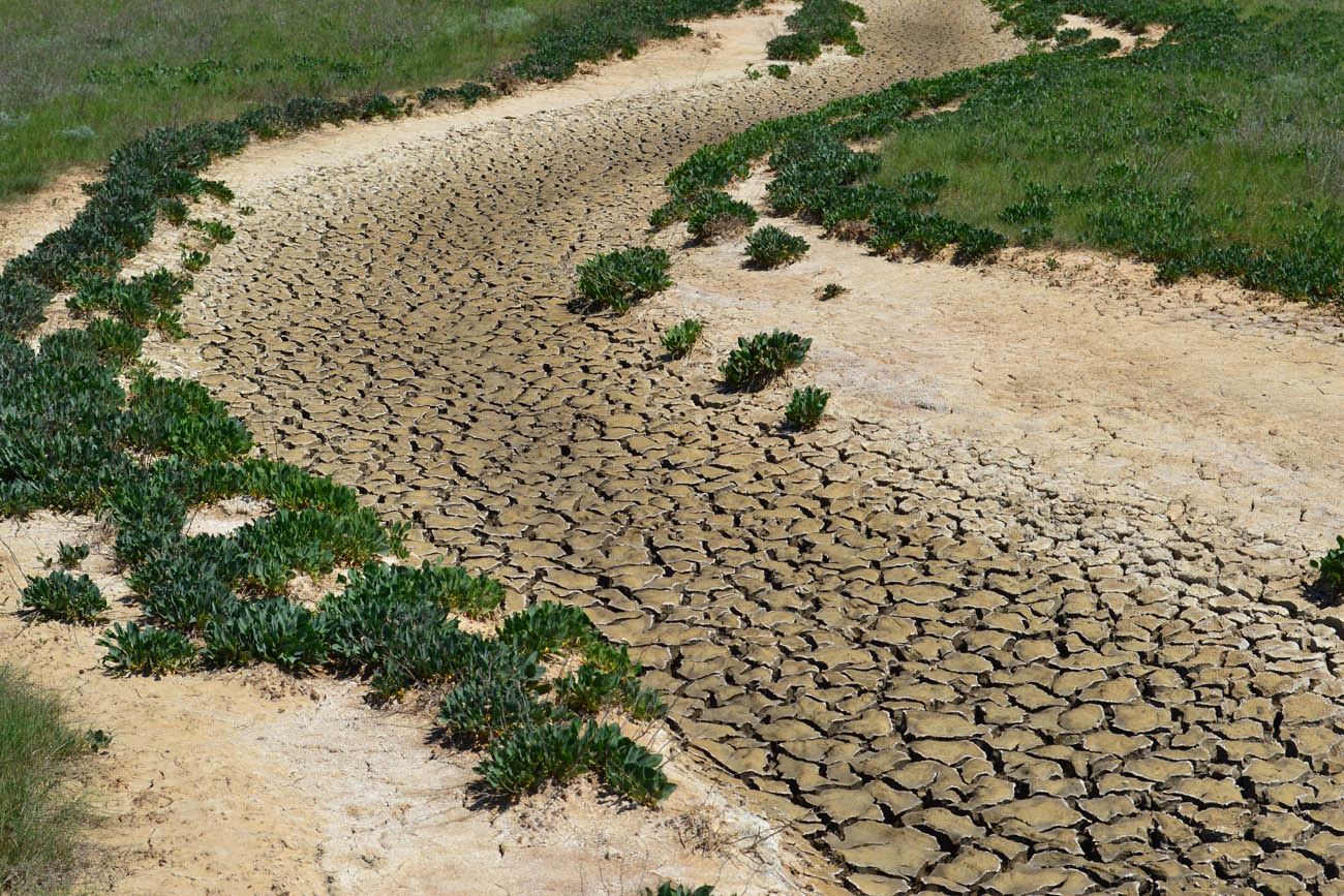 Окрестности села Бондаренково, image of landscape/habitat.