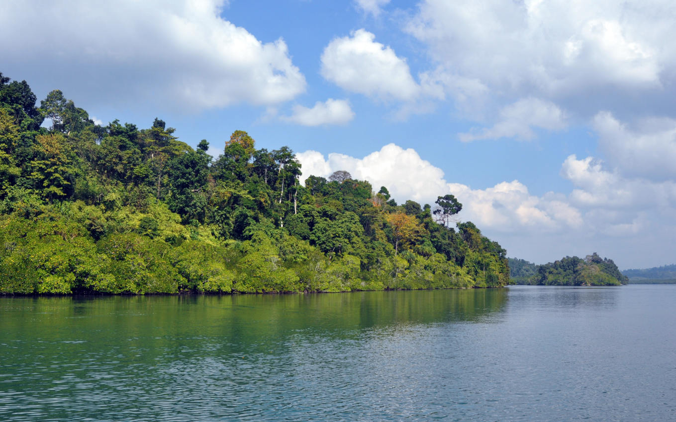 Остров Баратанг, image of landscape/habitat.