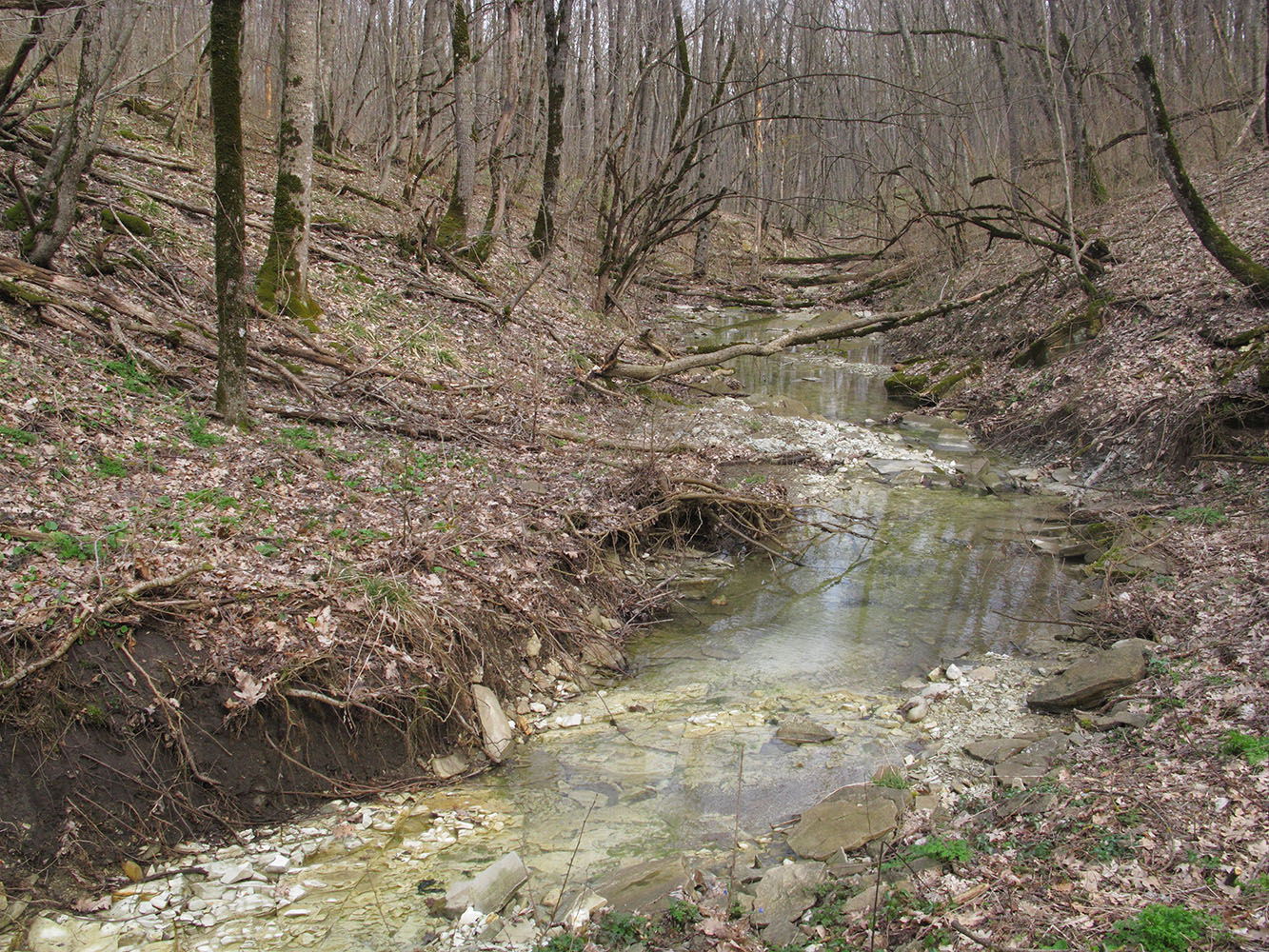 Глубокий Яр, image of landscape/habitat.