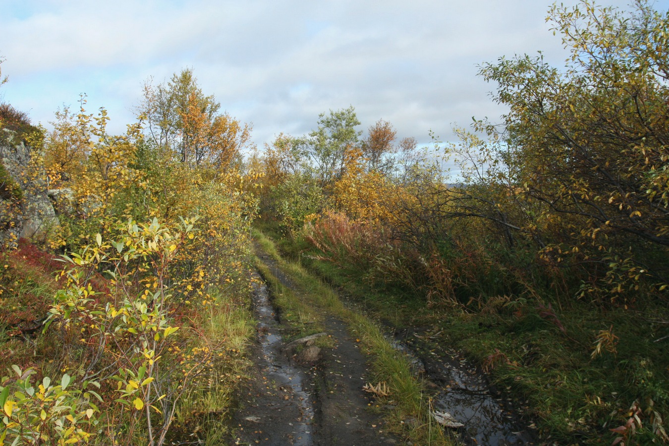 Горелая сопка, image of landscape/habitat.