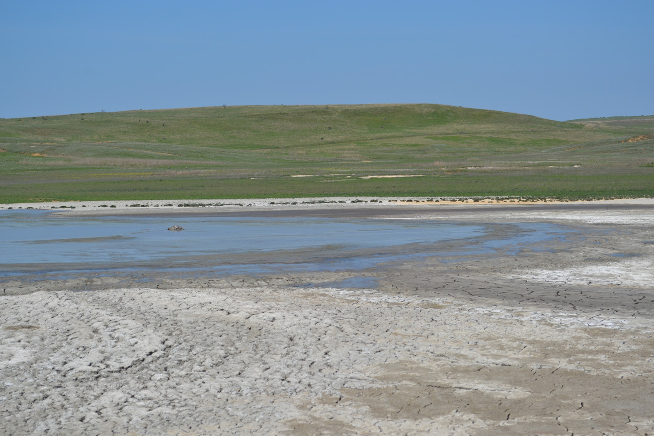 Окрестности села Бондаренково, image of landscape/habitat.