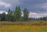 Image of landscape