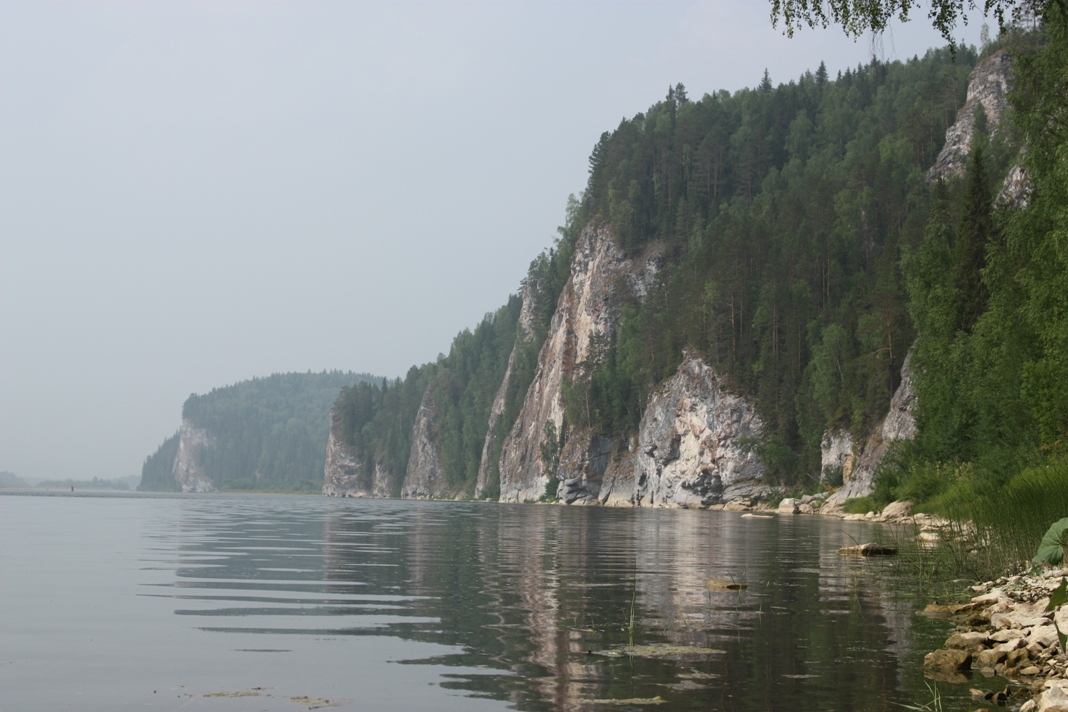 Вишера, среднее течение, image of landscape/habitat.