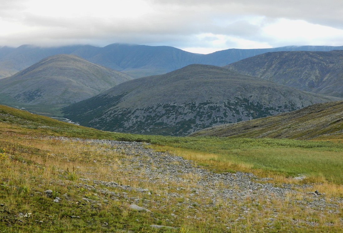 Большой Ханмей, image of landscape/habitat.