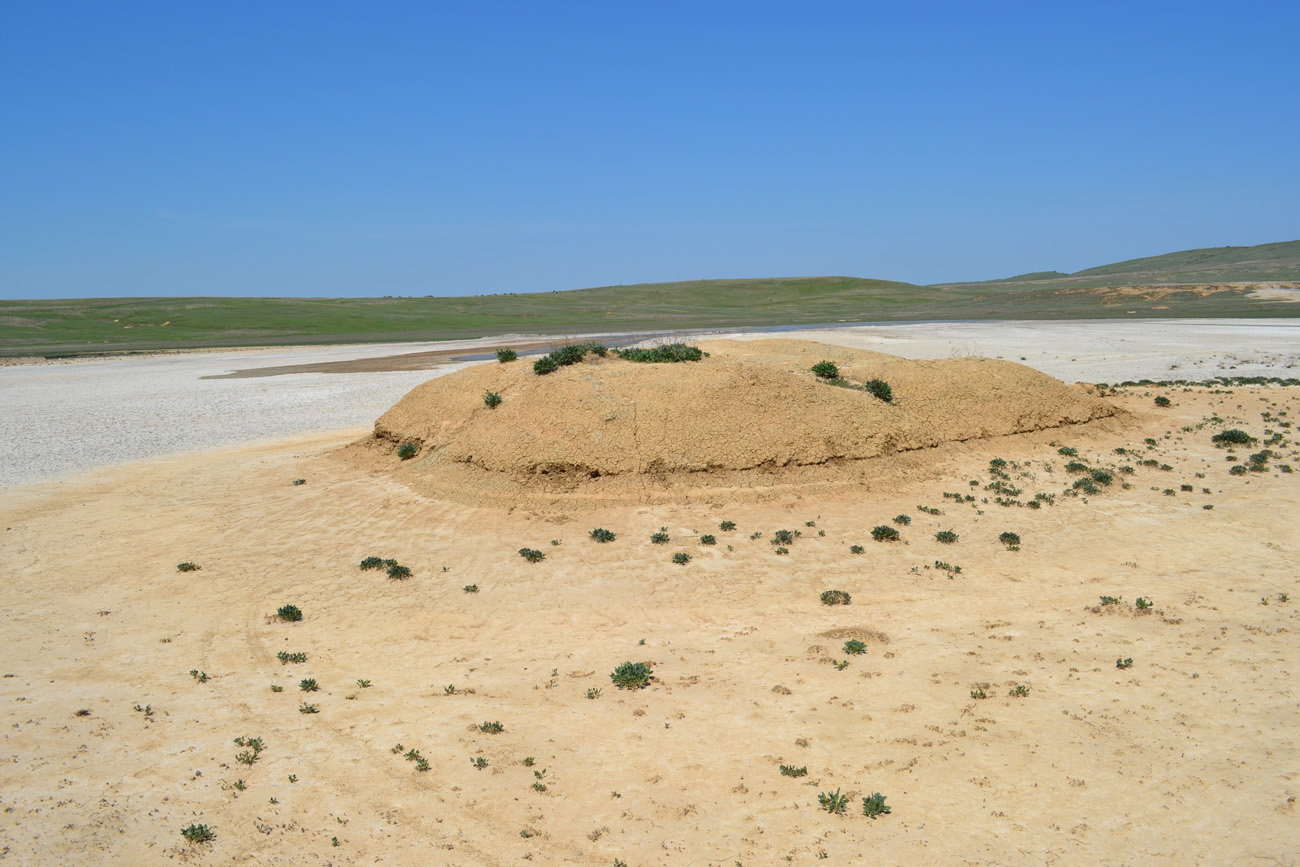 Окрестности села Бондаренково, image of landscape/habitat.