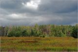 Image of landscape