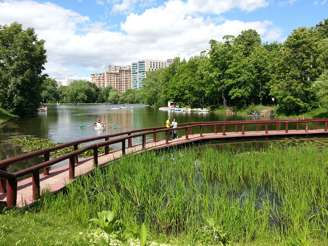 Воронцовский парк, image of landscape/habitat.