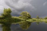 Чугунова Лощина, image of landscape/habitat.