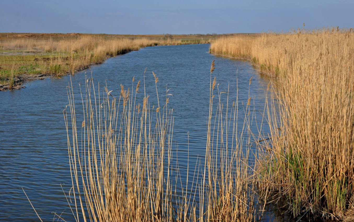 Ерик Галга, image of landscape/habitat.