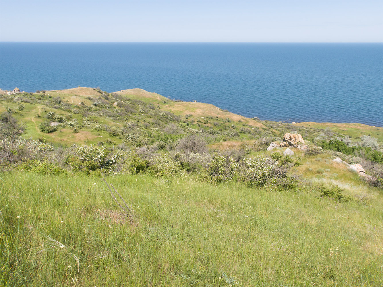 Мыс Орёл, image of landscape/habitat.