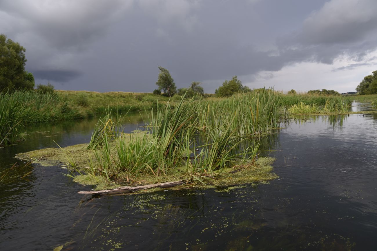 Чугунова Лощина, image of landscape/habitat.