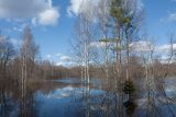 Луга у Кемки, image of landscape/habitat.