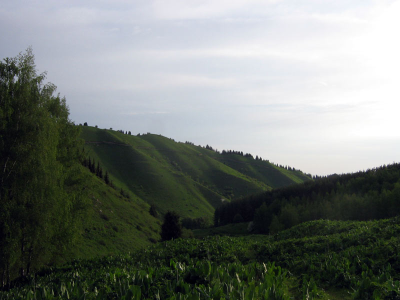 Аксайское ущелье, image of landscape/habitat.