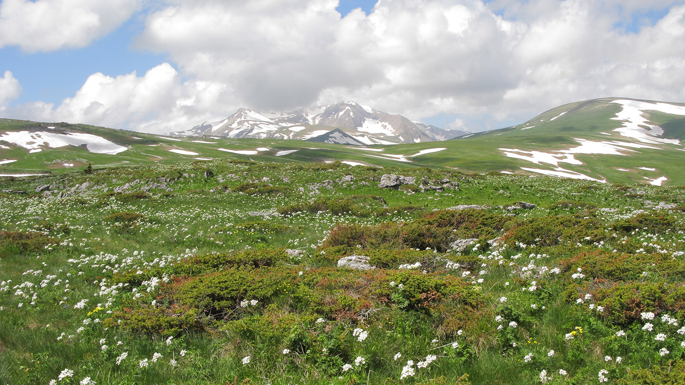 Абадзешский перевал, image of landscape/habitat.