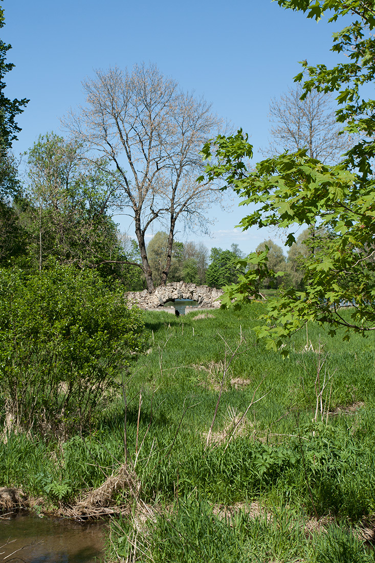 Гостилицы, image of landscape/habitat.