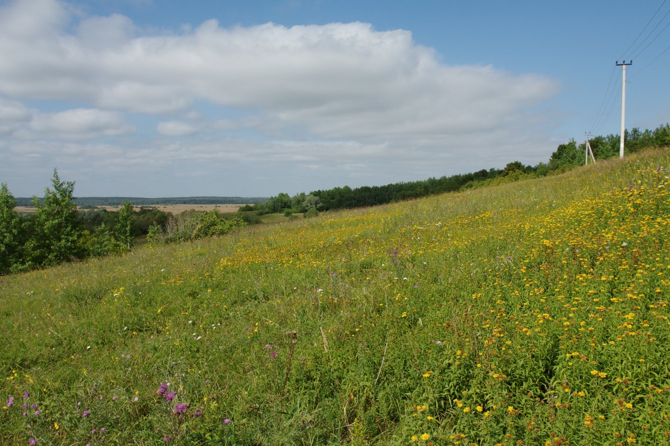 Кирхгофские высоты, image of landscape/habitat.