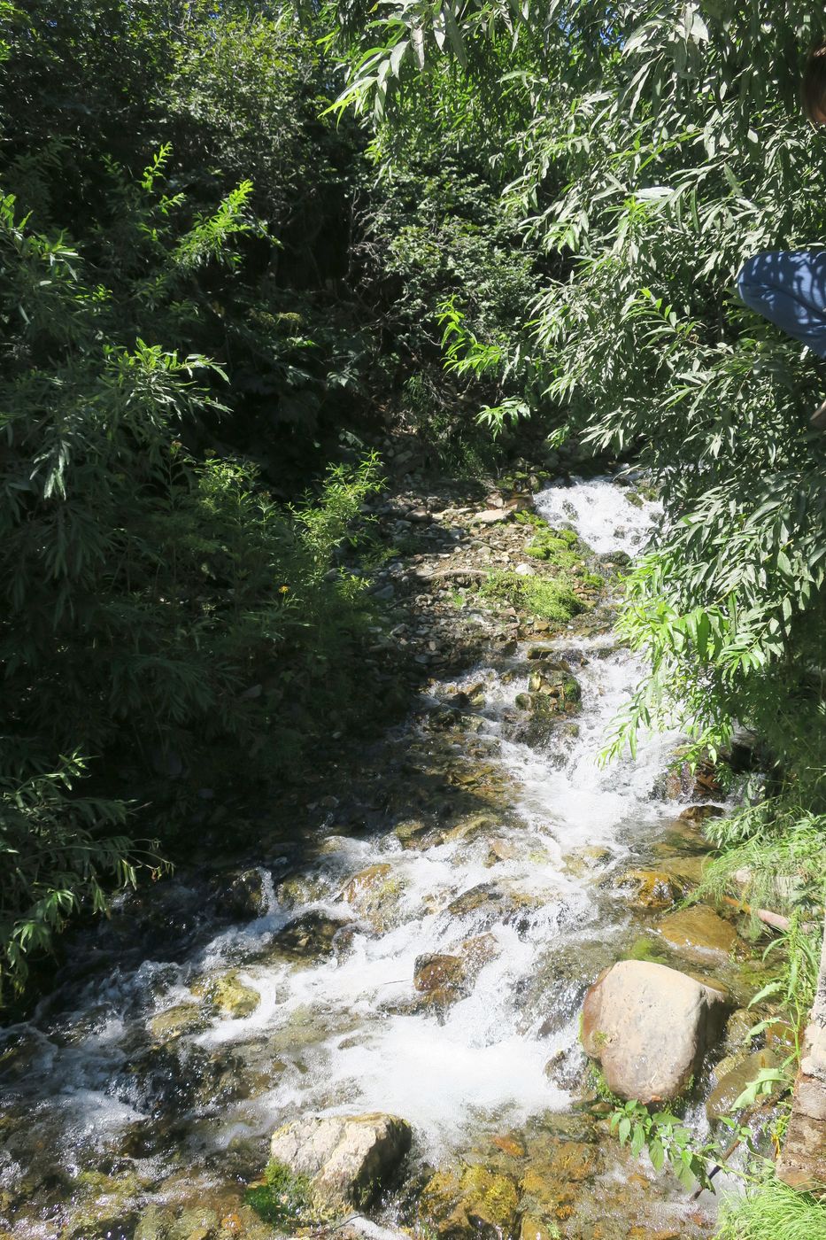 Зайкин ключ, image of landscape/habitat.