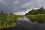 Чугунова Лощина, image of landscape/habitat.