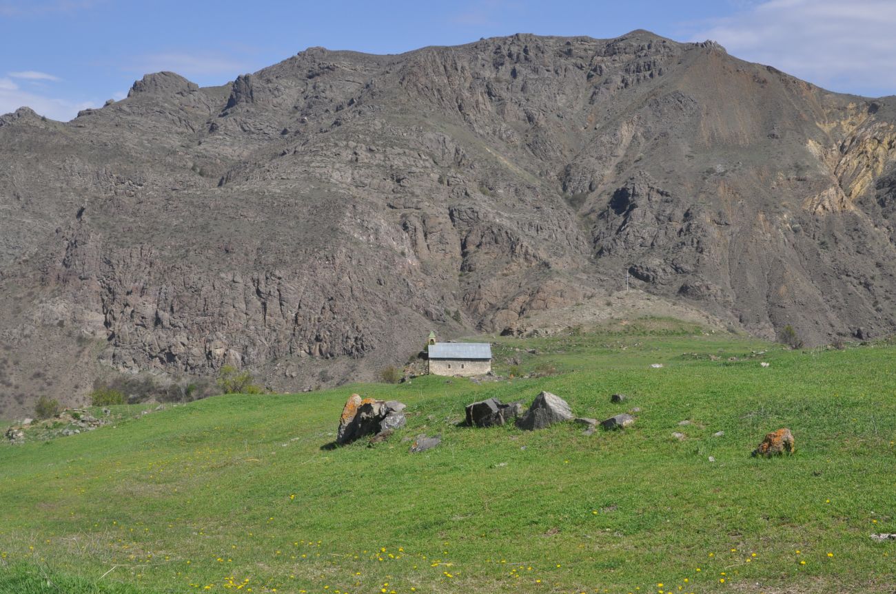 Окрестности урочища Мусхи, image of landscape/habitat.