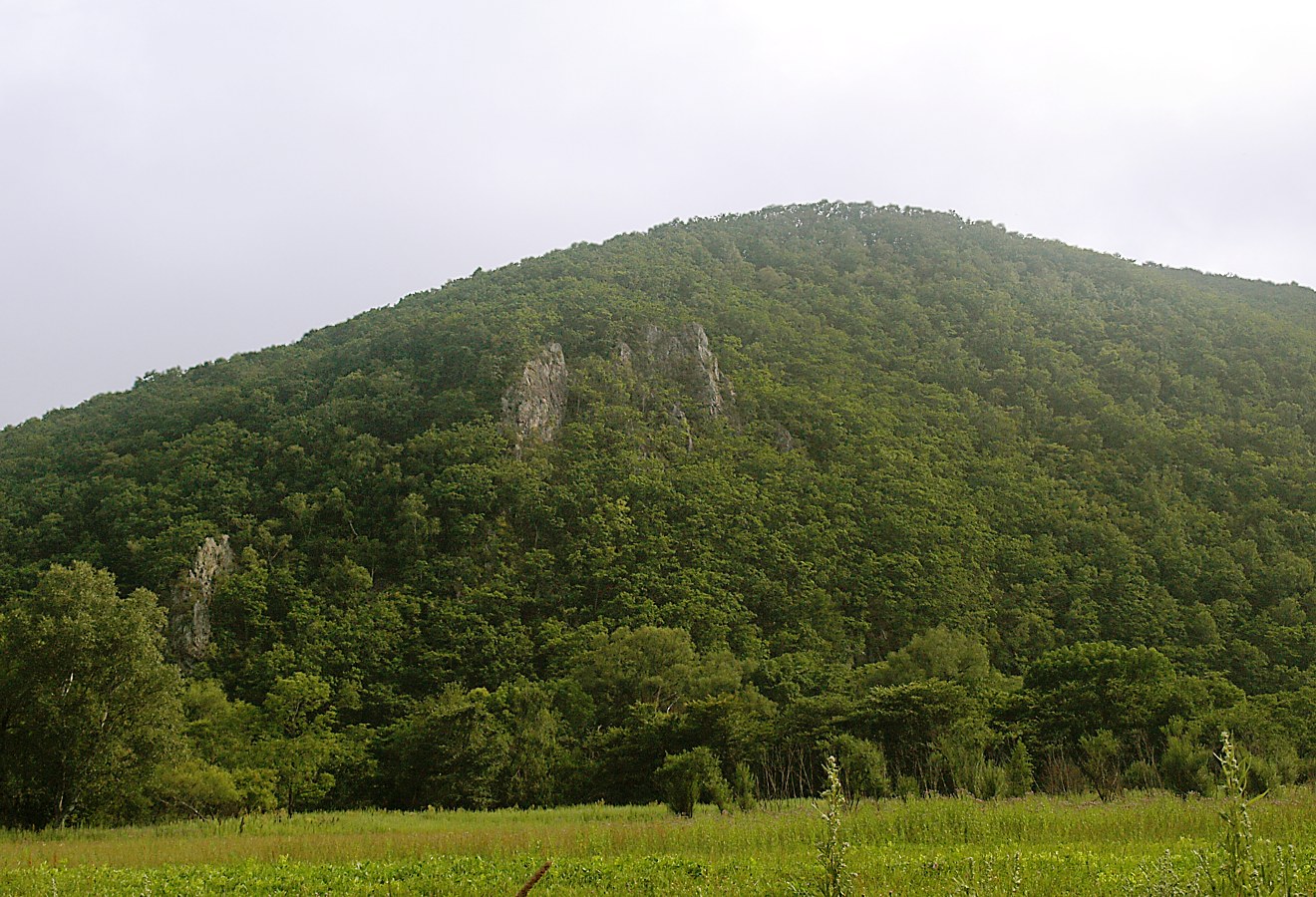 Милоградово, image of landscape/habitat.