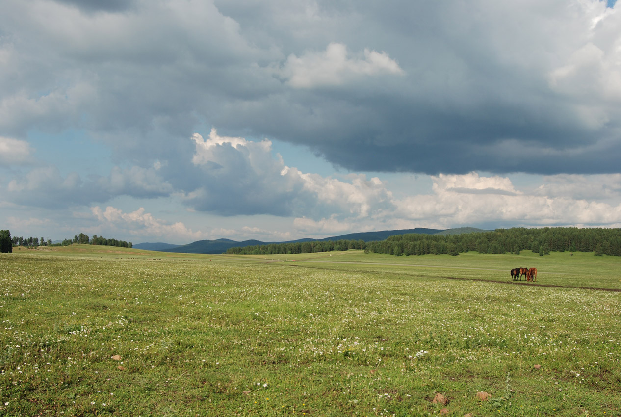 Окрестности села Кага, image of landscape/habitat.