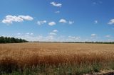 Луганск, image of landscape/habitat.