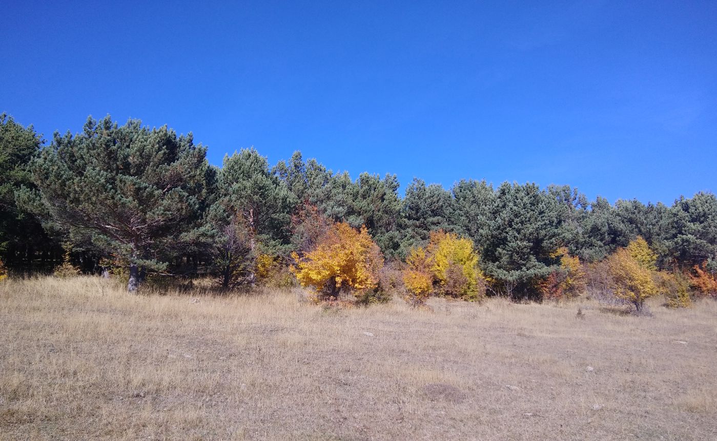 Гора Патара Абули, image of landscape/habitat.