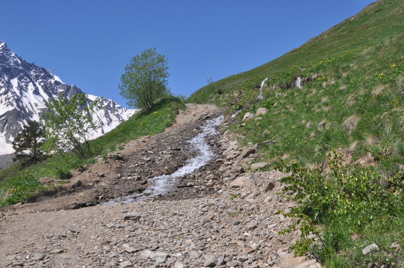 Восточный склон горы Чегет, image of landscape/habitat.