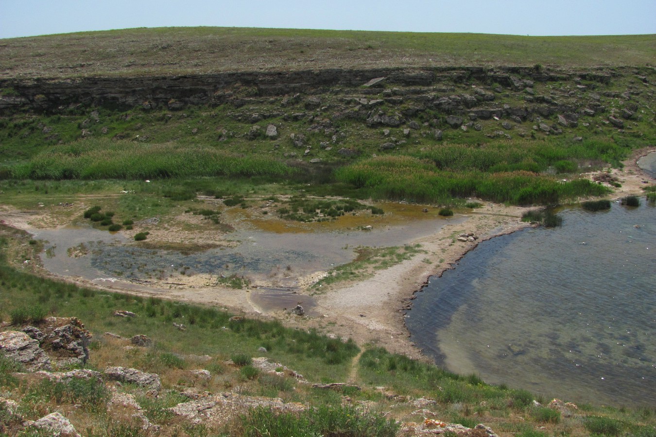 Донузлав, image of landscape/habitat.