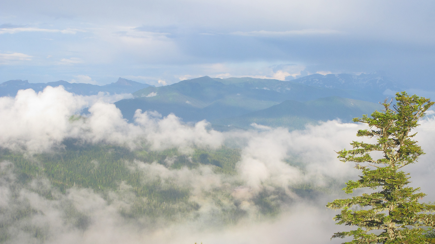 Каменное Море, image of landscape/habitat.