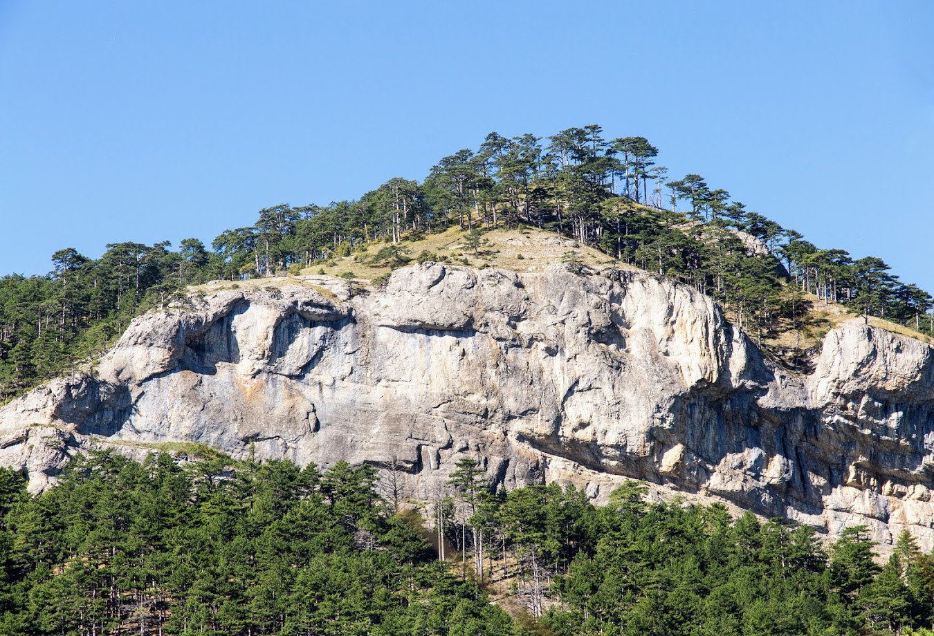 Ущелье Уч-Кош, image of landscape/habitat.