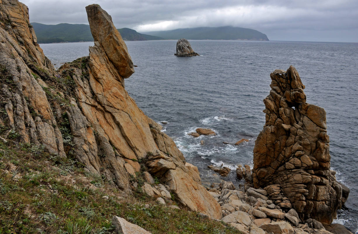 Мыс Лапласа, image of landscape/habitat.