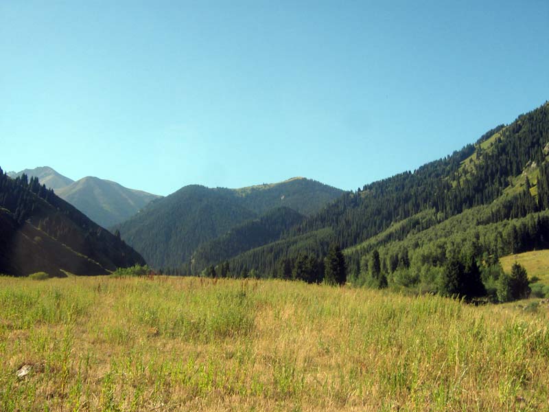 Каскеленское ущелье, image of landscape/habitat.